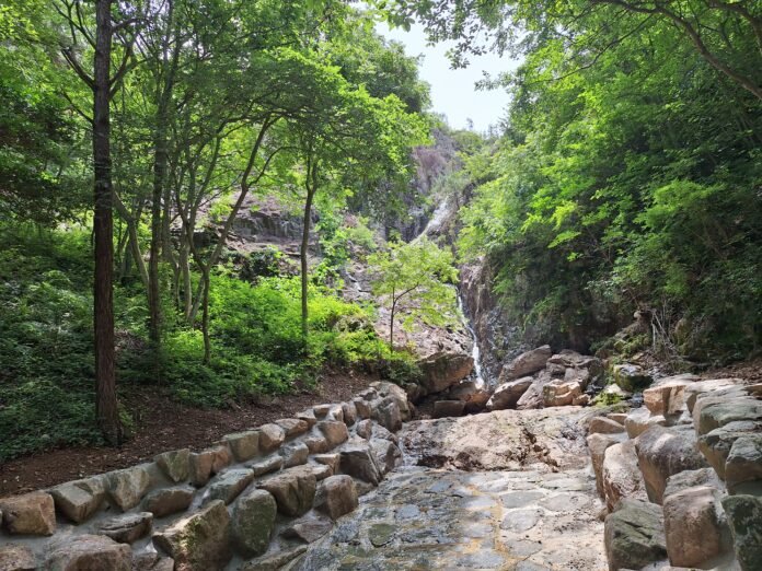 KakaoTalk_20260718_145121888